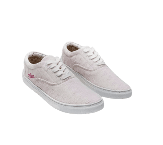 ARCAS BEAR Tênis Lace UP Frequency Paris