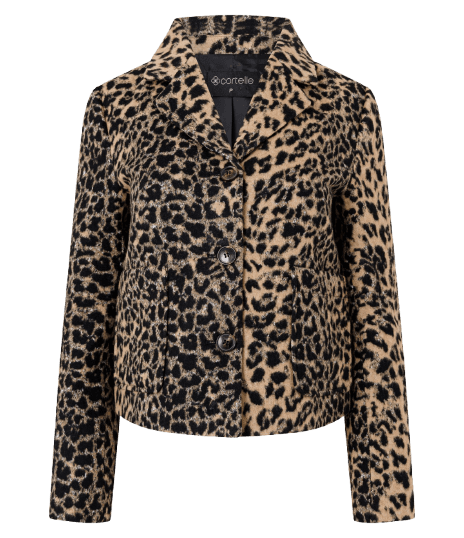 Blazer Leve Animal Print com Abotoamento Frontal
