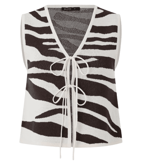Blusa em Tricô com Amarração e Estampa Zebra Multicores